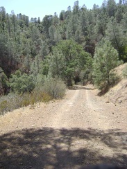 Back on County Line Road, still riding along the ridge, but descending slowly.