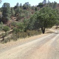 County Line Road turns east and starts snaking down the steep hillside to Orestimba Creek.