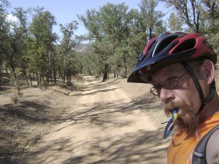 I continue riding down Orestimba Creek Road.