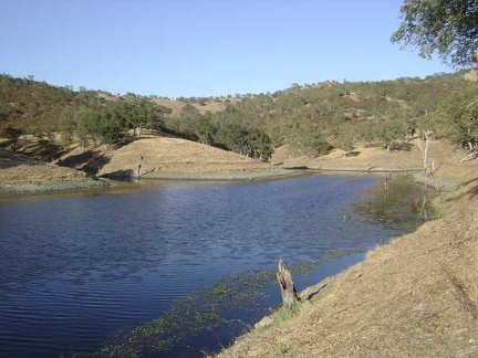 Walking down to Clark Spring, I pass pristine Jackrabbit Lake and take a closer look.