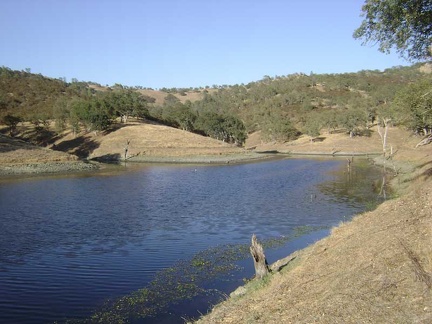 Walking down to Clark Spring, I pass pristine Jackrabbit Lake and take a closer look.