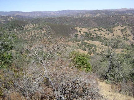 View from the look-off just off Coit Road.