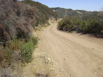 Higher up Coit Road heading toward the junction of Wasno Road.