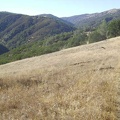 China Hole Trail pops out of the shady area and winds its way across an open meadow on the way down into the canyon.