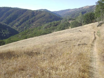 China Hole Trail pops out of the shady area and winds its way across an open meadow on the way down into the canyon.