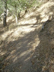 Another switchback on the lower part of China Hole Trail.