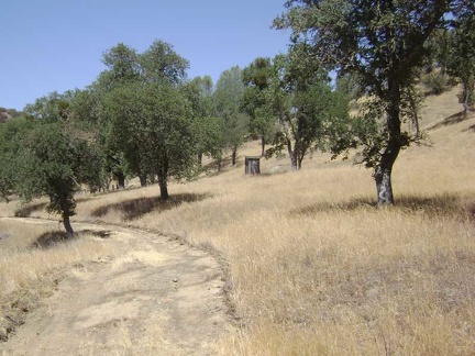 An old outbuilding along Pacheco Creek Trail not too far from Pacheco Camp.