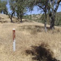 Half a mile up Pacheco Creek Trail, the singletrack Rose Dam Trail veers off and rises eventually to Hoover Lake.