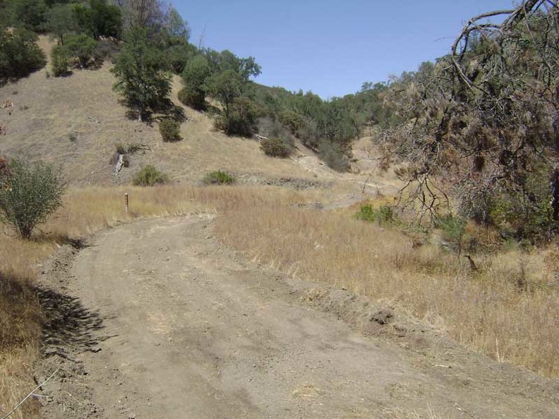 Almost two miles up Pacheco Creek Trail, I see the sign ahead for the trail to Rose Spring.