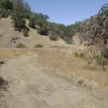 Almost two miles up Pacheco Creek Trail, I see the sign ahead for the trail to Rose Spring.
