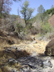 The dry creek bed near Rose Spring.