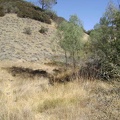 The lower part of Canteen Trail, near the spring.