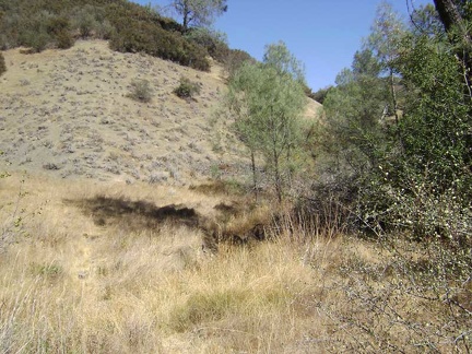 The lower part of Canteen Trail, near the spring.