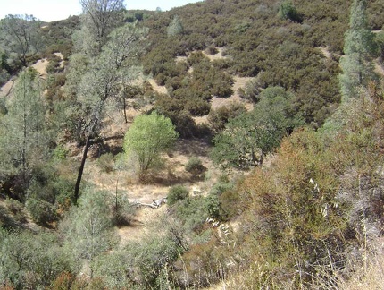 A little higher up Canteen Trail, the basin of the Canteen Spring is still visible in the centre of the photo as a white blotch.