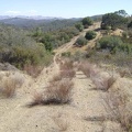One of a series of ups and down on Pacheco Ridge Road. Awesome views up here.