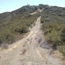 Day 7: A short day hike from Pacheco Camp up Pacheco Creek, then returning via Pacheco Ridge; about six miles round-trip.