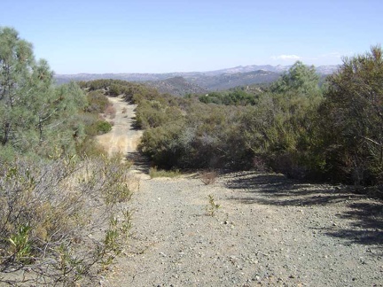 Heading down the other side of the hill on Pacheco Ridge Road that I just came up.