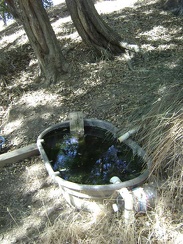  I go for a short walk up the trail from the campsite to Sierra View Spring to filter enough water to get me to Mississippi Lake.