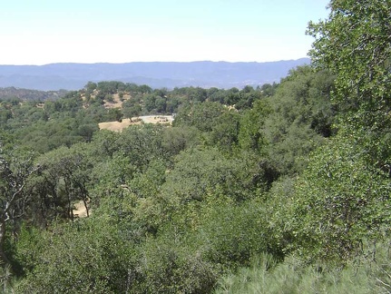 A view of the small car campground at Henry Coe State Park from the Sierra View campsite.