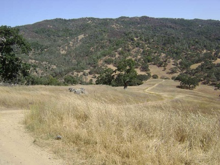 I finally meet the junction of Poverty Flat Road and Mahoney Meadows Road, and begin a short, fun, and steep downhill.