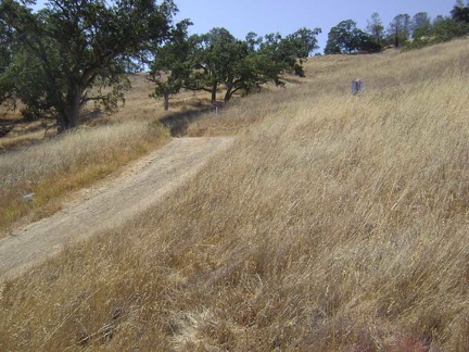 The beginning of the hill on Mahoney Meadows Road that I'm about to descend.