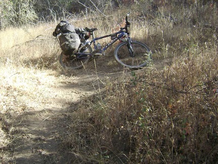 A benign switchback on Willow Ridge Trail just beyond the log in the poison oak grove gives me a few more problems.