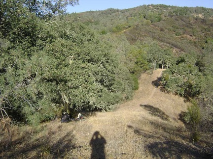 A little higher up on Willow Ridge Trail is a short level stretch that lasts for about a tenth of a mile.