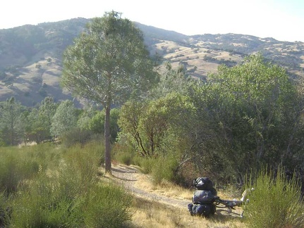 The same resting location as in the previous photo, but looking back down Willow Ridge Trail.