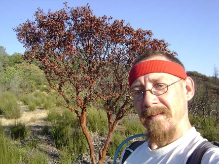 This manzanita is all pretty and red in the late-afternoon sun and takes my mind off the pain of climbing this hill.