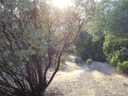 The "dreaded steep part" where I must remove my heavy saddlebags from the bike and walk them up the hill separately.