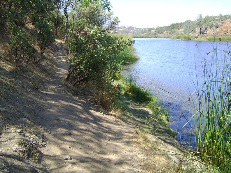 I go for a brief walk up the trail along the shore of Coit Lake