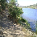 I go for a brief walk up the trail along the shore of Coit Lake