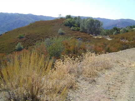 Now that I've passed the 2470-foot summit of Coit Road, it's downhill to China Hole, tonight's campsite at 1150 feet