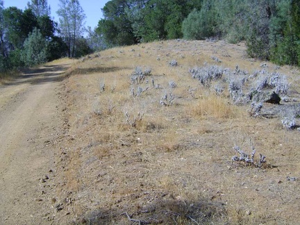 A few short uphills await me on the way down to China Hole