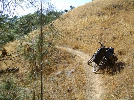 China Hole Trail exits the oak woodland on the crest and begins winding its way downhill across grassland