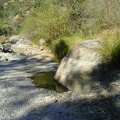 Before setting up camp, I check out the water situation at China Hole