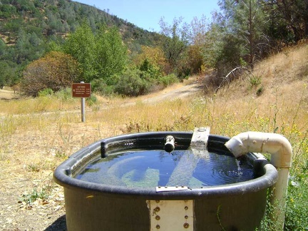 The Pacheco Spring tub is full of fresh water (and a few yellowjackets)