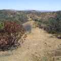 View back toward Pacheco Camp from a ridgetop on White Tank Spring Trail