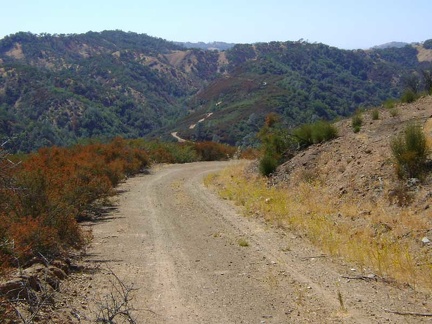 I'm enjoying the view down Coit Road from Willow Ridge here, toward Kelly Lake and Wasno Ridge beyond