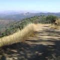 After Crest Trail, I hike down Wagon Road 3/4 mile to reach Center Flats Road