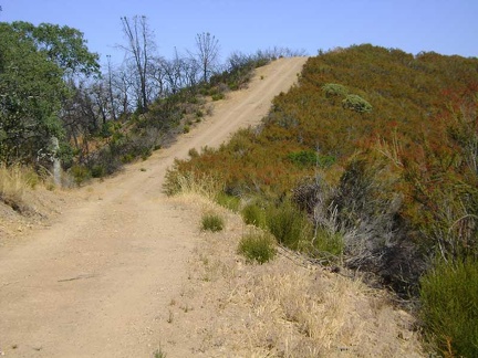 One of several steep stretches along Center Flats Road, Henry Coe State Park