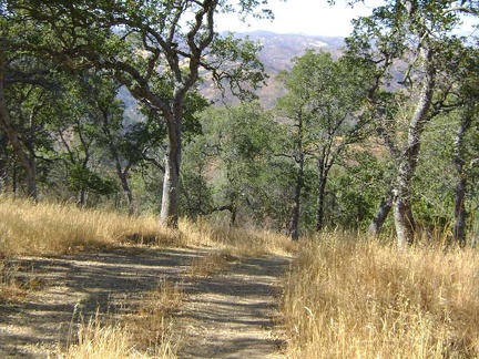 More Center Flats Road