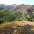 Walsh Trail descends quickly into the Pacheco Creek canyon