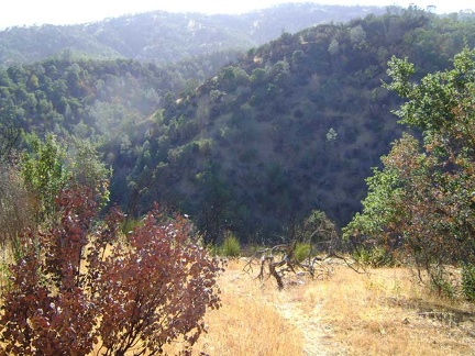 Getting close to the bottom of Walsh Trail