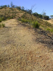 Almost at the top of Walsh Trail