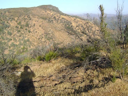 I snap several shots of Walsh Peak as I hike up Pacheco Ridge Road