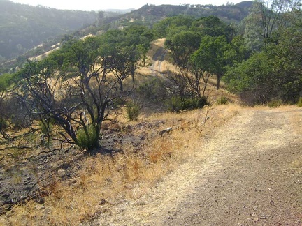 Pacheco Ridge Road is a classic Henry Coe roller-coaster-ridge road with uphills in both directions