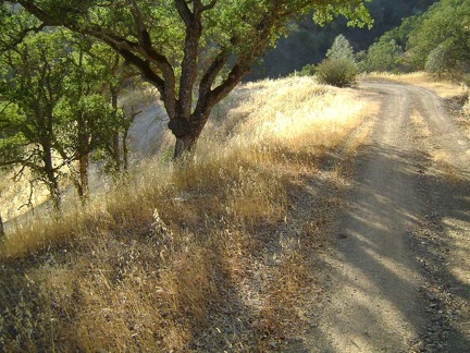 I walk down the switchbacks of Coit Road for 3/4 mile to get back to my tent at Pacheco Camp