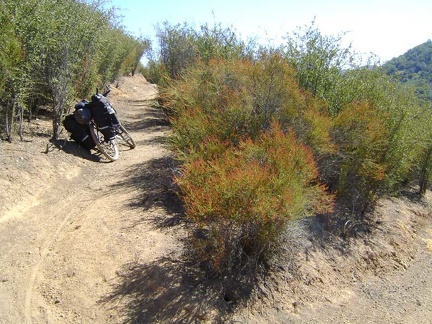 I bend around a switchback in another of my favourite stretches of China Hole Trail as I limp along upward