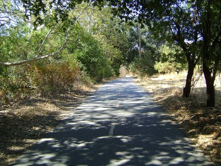 Coyote Creek Trail is my chosen route back into San José today instead of the busy, but more direct, Monterey Road